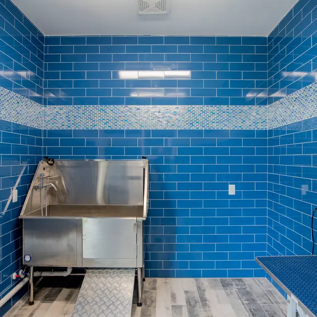 Belforest Apartments - Bathroom