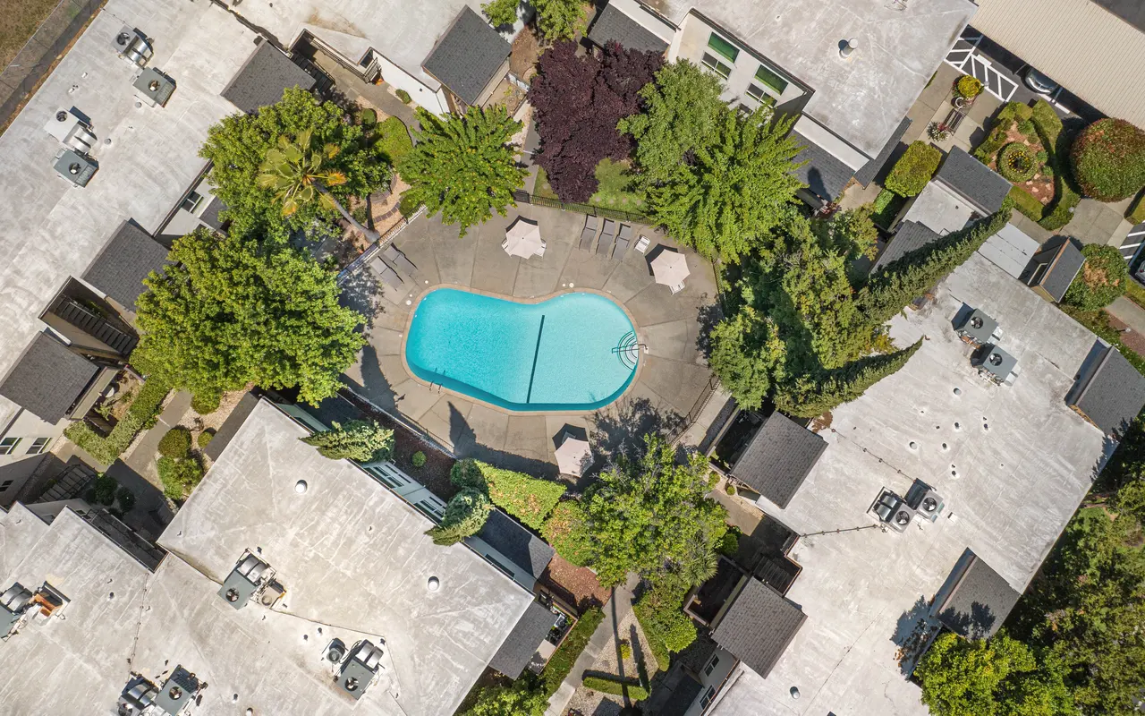 Marconi Oaks - Pool, Water, Outdoors