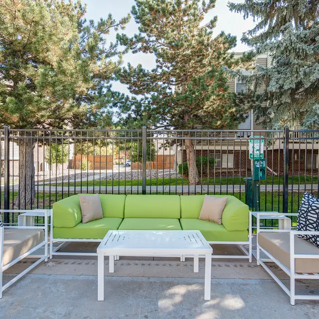 Vantage Point - Backyard, Yard, Nature