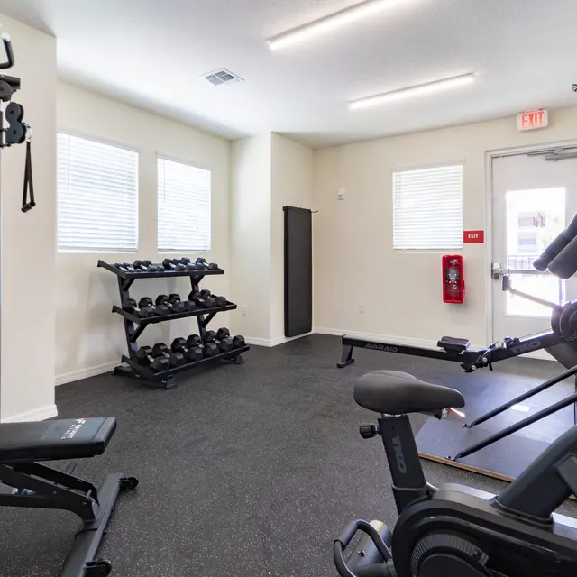 Tanager Square Apartments - Working Out, Fitness, Sport