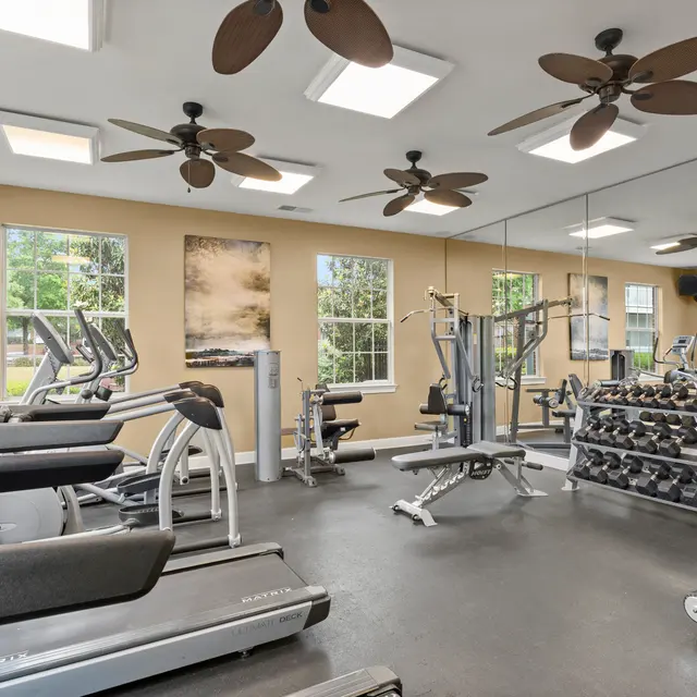 SYNC at Ten Oaks - Ceiling Fan, Appliance, Fitness