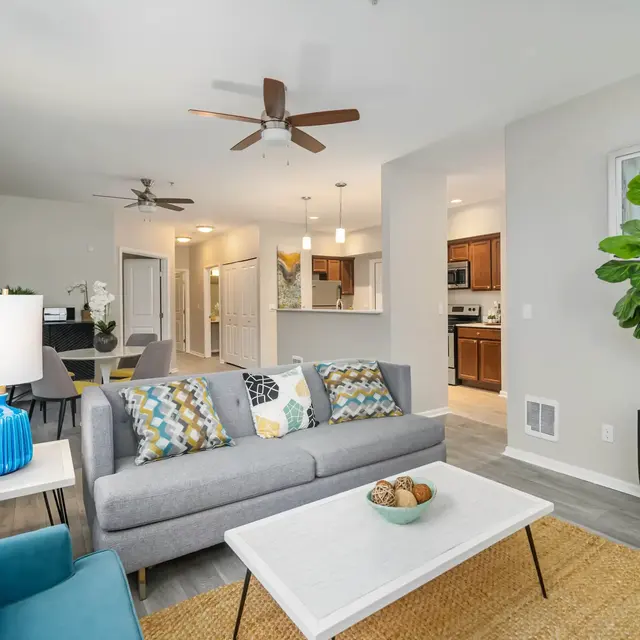 Outlook Apartments Outlook Apartments - Home Decor, Table, Appliance