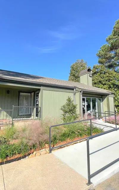 Seasons - Tree, Plant