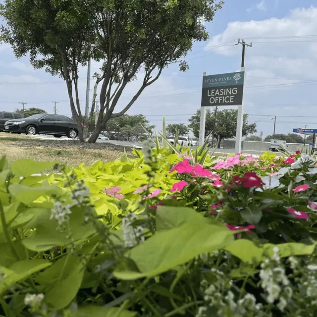Seven Pines Apartments Seven Pines Apartments - Herbal, Potted Plant, Vegetation