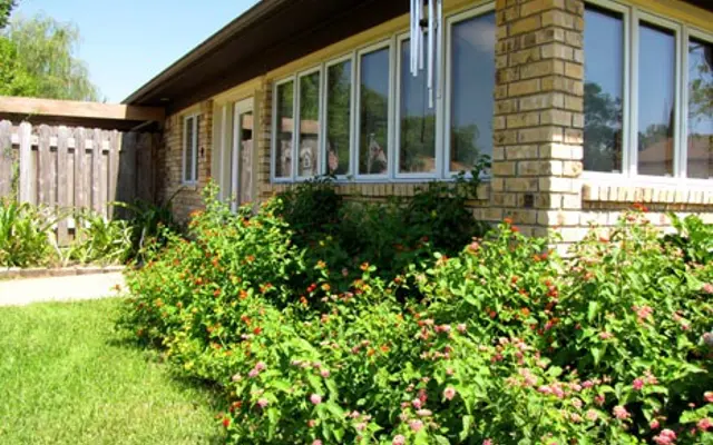 Holy Cross Bossier Holy Cross Bossier - Yard