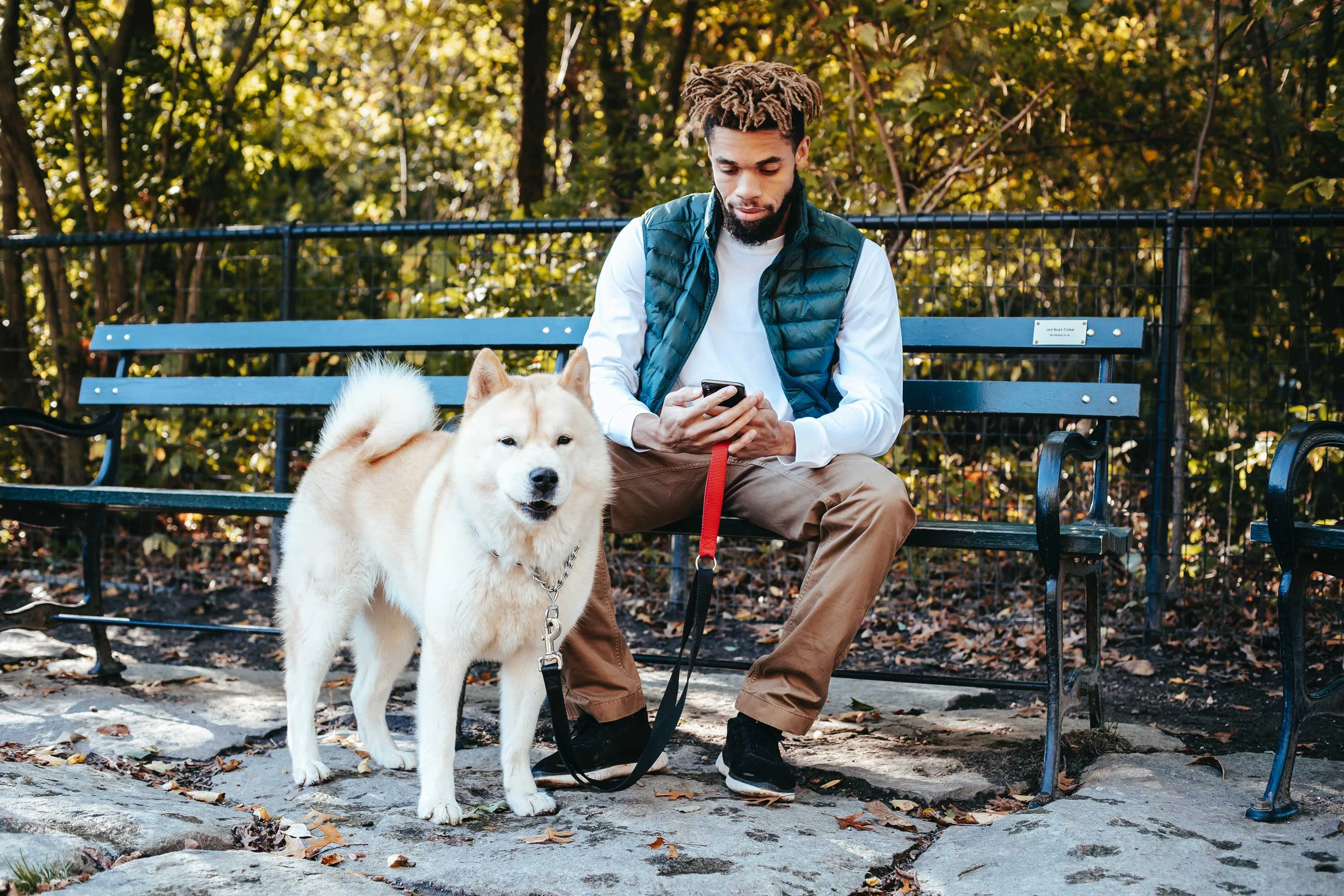 A man with curly hair sits on a bench in a park while looking at his phone, with a fluffy dog beside him on a leash.