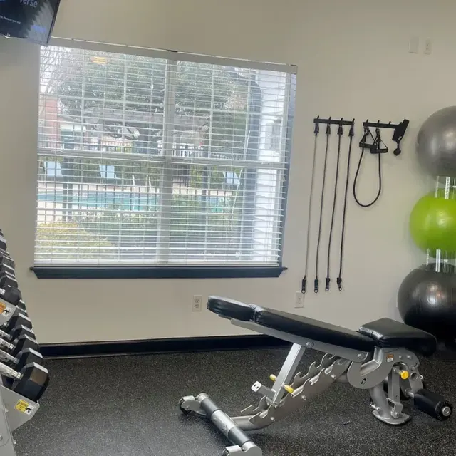 A well-equipped home gym featuring a weight bench, dumbbell rack, and exercise balls.