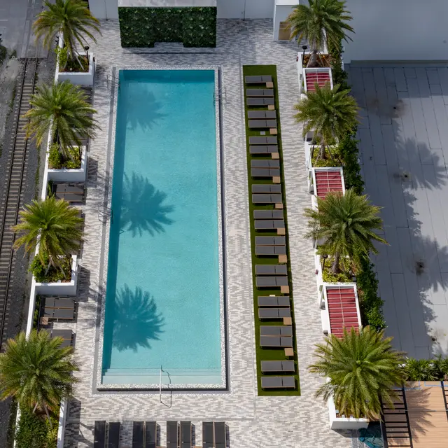 Aerial view of a rooftop swimming pool surrounded by palm trees and lounge chairs.