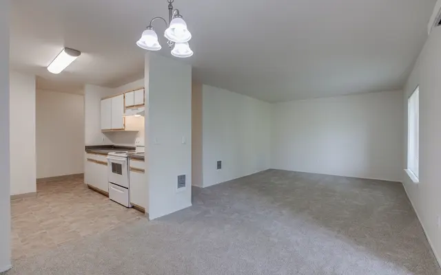 Spacious empty living area with light carpet and a kitchen area visible in the background.