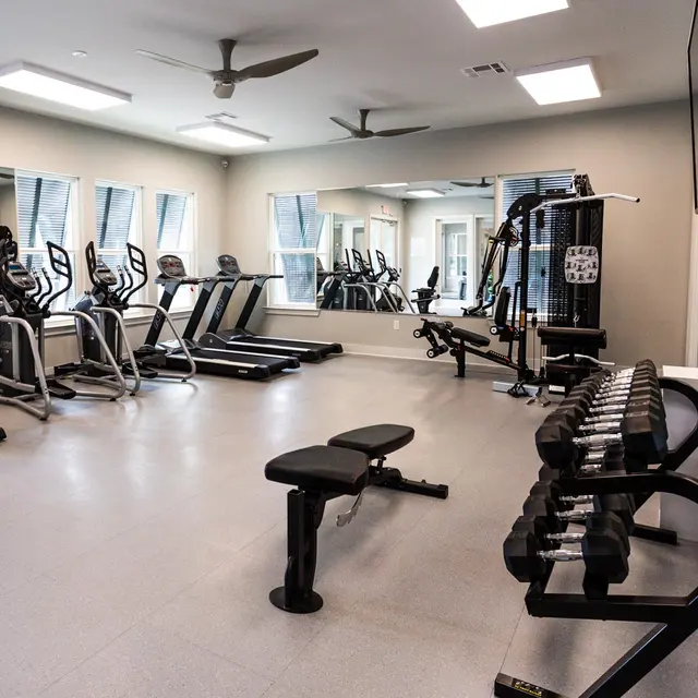 Belforest Apartments - Ceiling Fan, Gym, Appliance