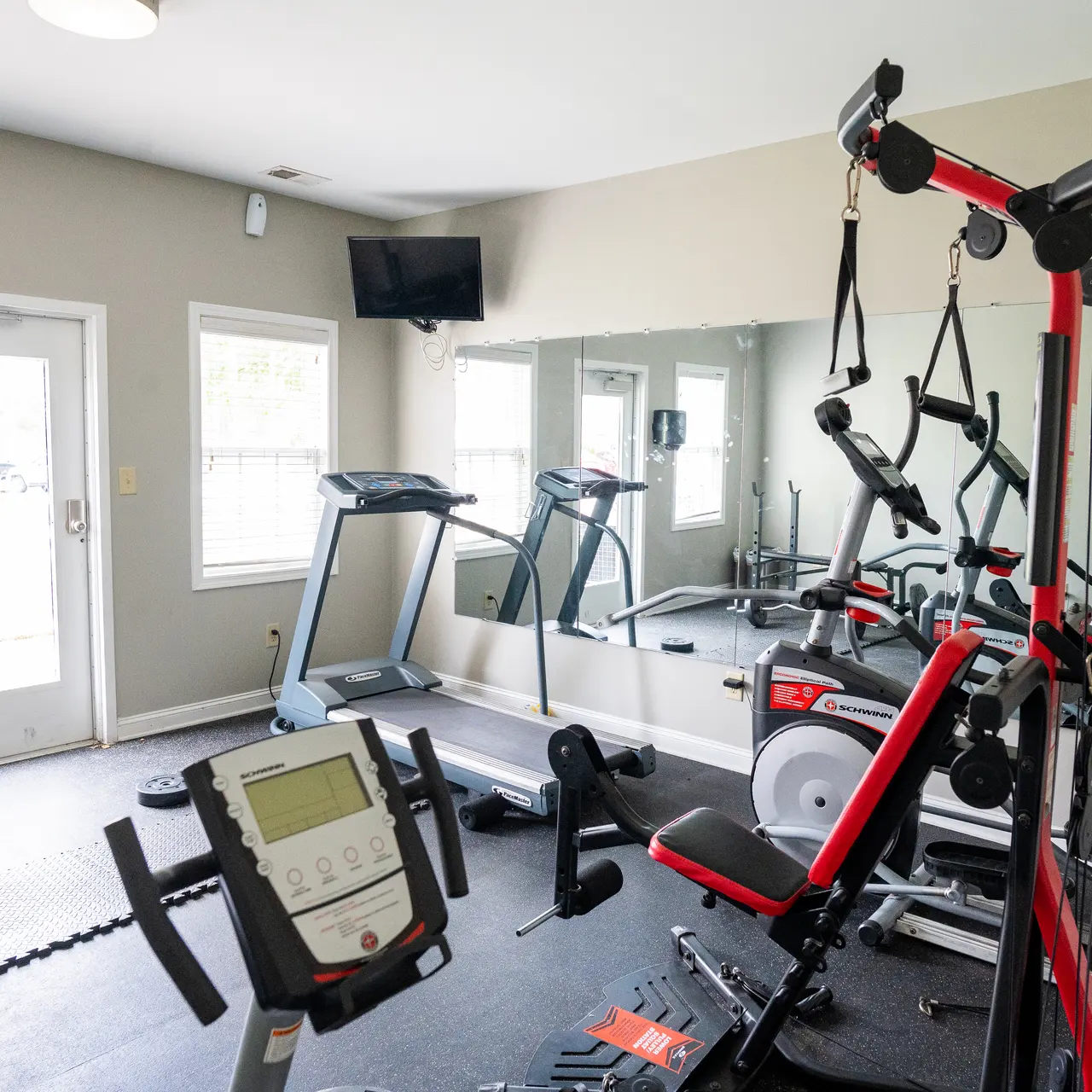 Crown at Steeplechase - Fitness, Working Out, Sport