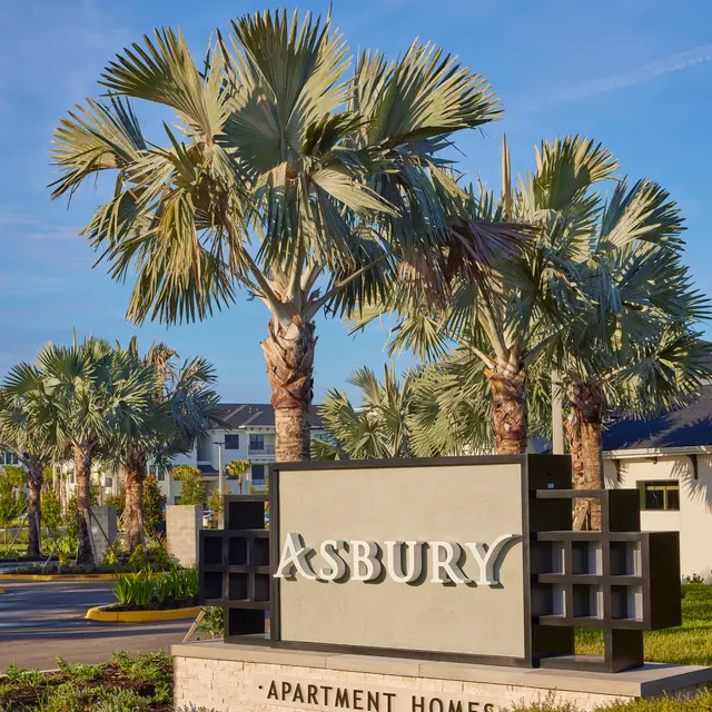 Asbury - Palm Tree, Tree, Summer