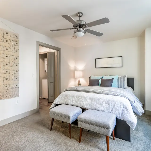 Bedroom with Plush Carpet and Lots of Natural Light