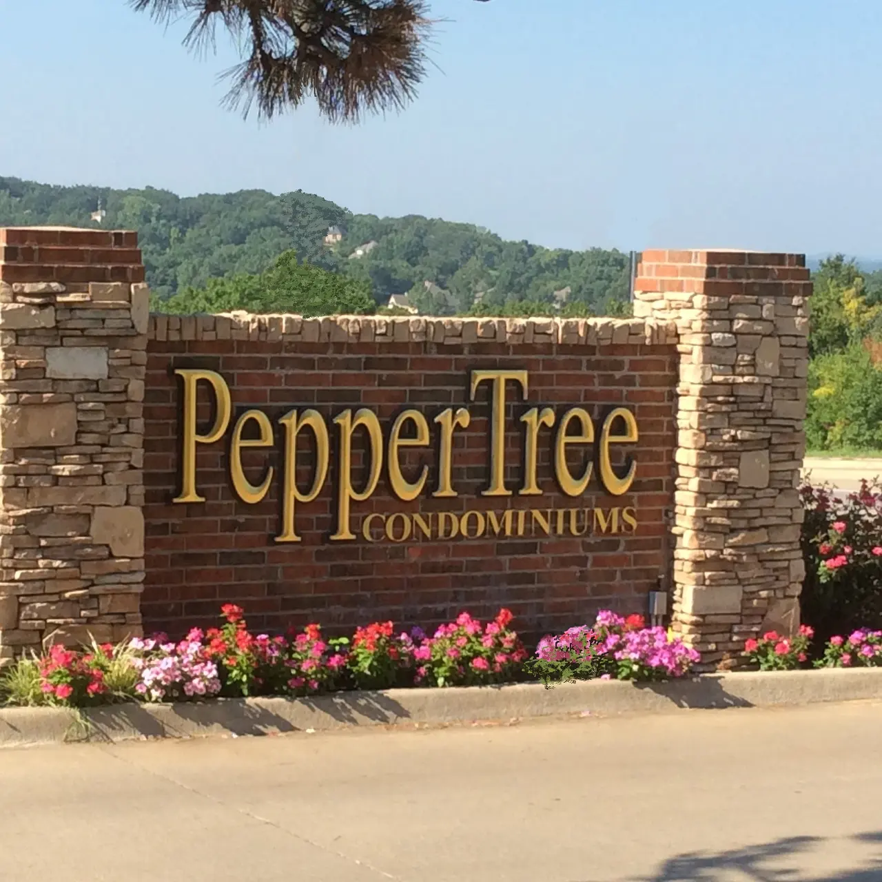 Pepper Tree - Sign Pepper Tree - Plant, Grass, Outdoors