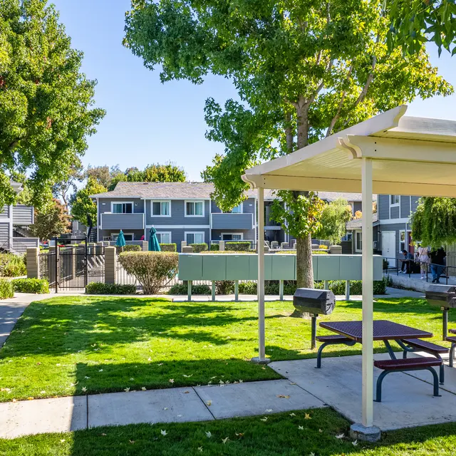 Peachwood Apartments - Neighborhood, Grass, Shoe