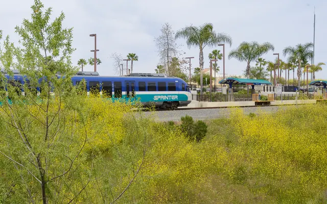 Preserve at Melrose - Tree, Railway, Train
