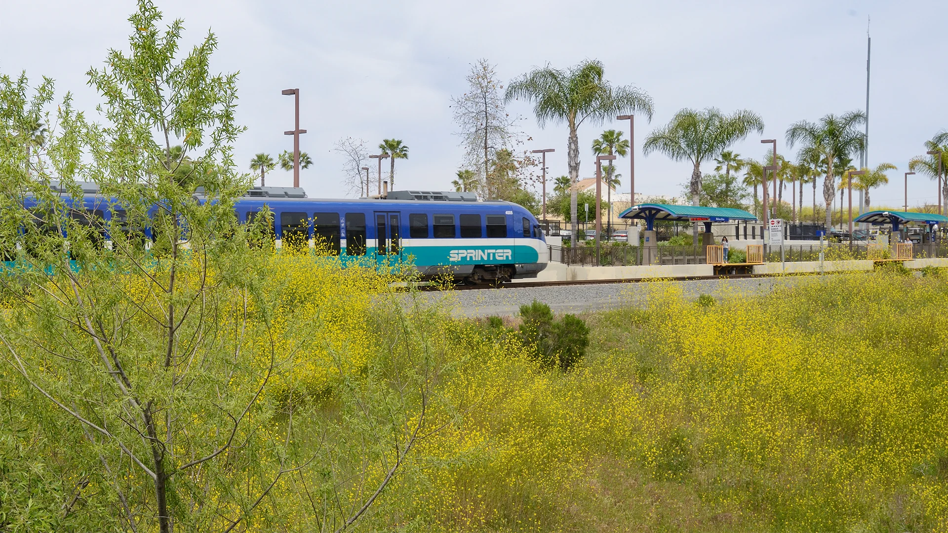 Preserve at Melrose Preserve at Melrose - Tree, Railway, Train