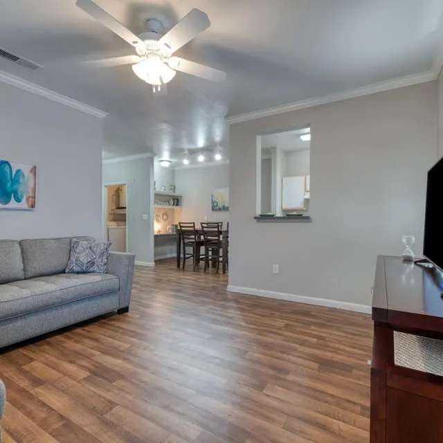 Saddle Ridge Saddle Ridge - Monitor, Screen, Computer Hardware