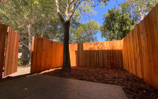 Cypress Court Apartments - Tree