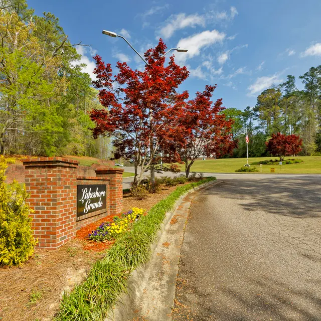 Lakeshore Grande - Road, Tree, Tarmac