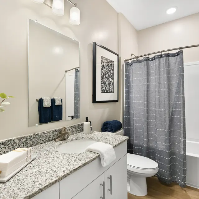 A modern bathroom featuring a granite countertop, a large mirror, and a shower with a gray curtain. The decor is minimal with a plant and toiletries on the counter.