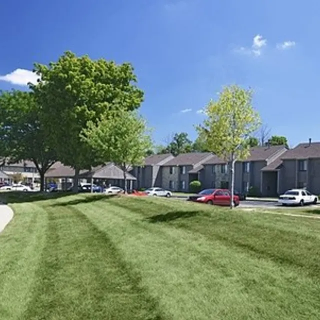 Woods of Castleton - Grass, Plant, Bush