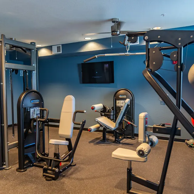 Rochester Park - Working Out, Fitness