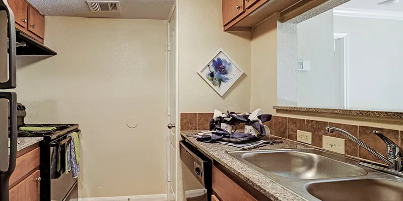 Reserve at Braes Forest Apartments - Kitchen