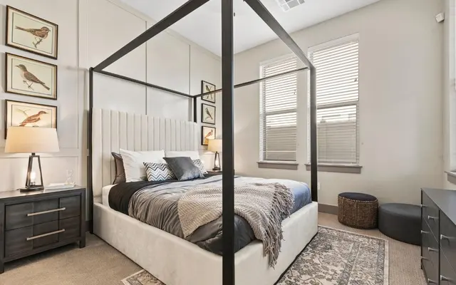 Black Cat - Bedroom, Room, Indoors