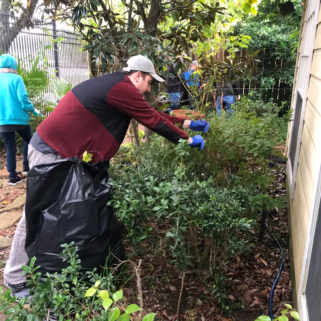 Dinerstein Dinerstein - Garden