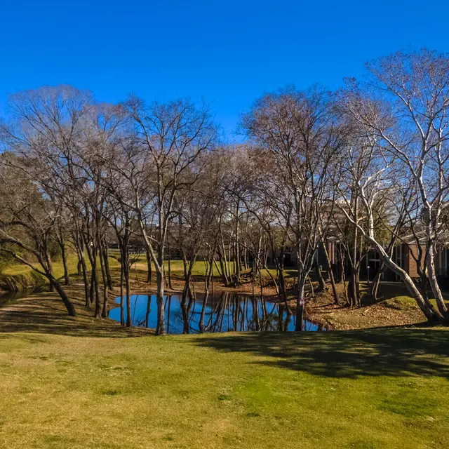 Live Oak Apartments Live Oak Apartments - Grass, Nature, Outdoors