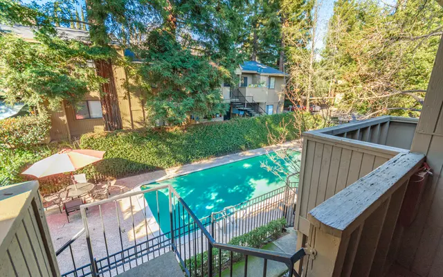 Donner at Fair Oaks - Nature, Outdoors, Scenery