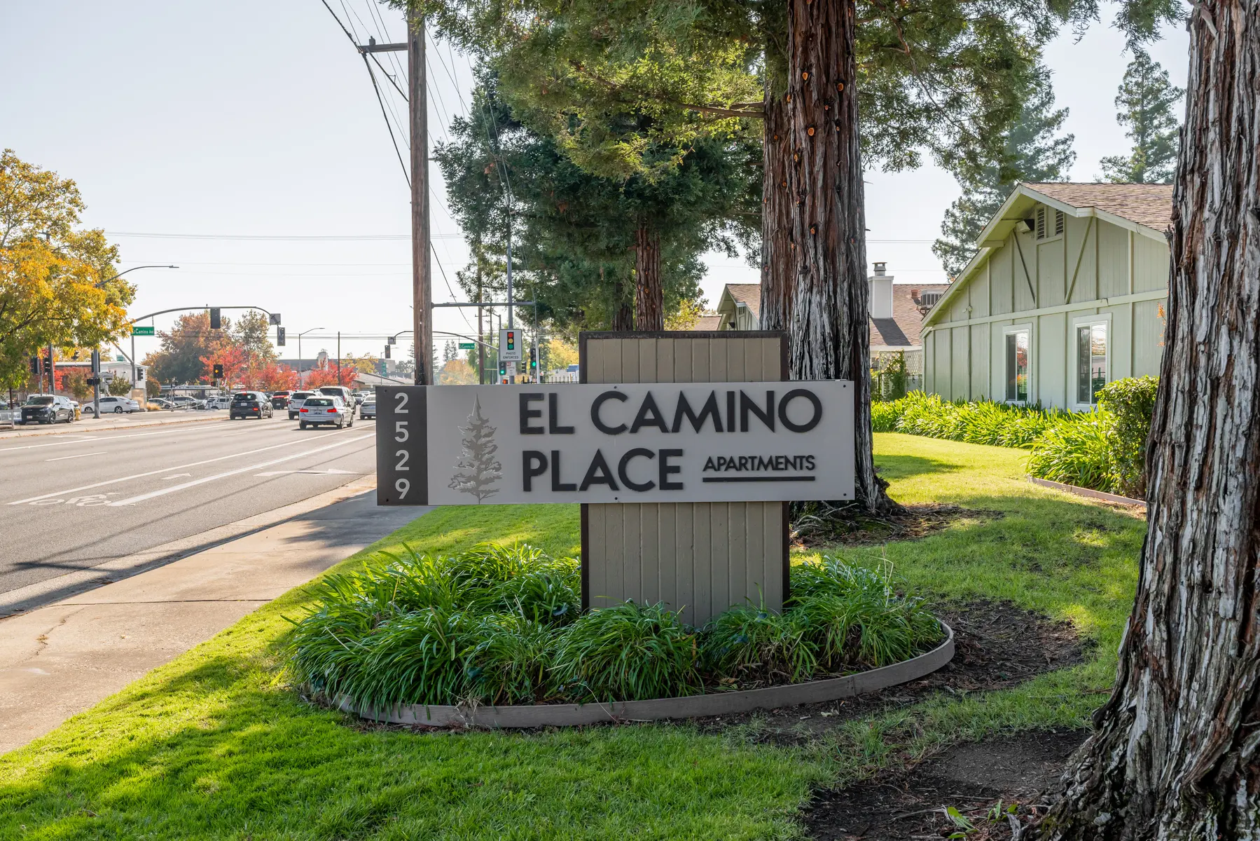 El Camino Place - Grass, Tree, Neighborhood