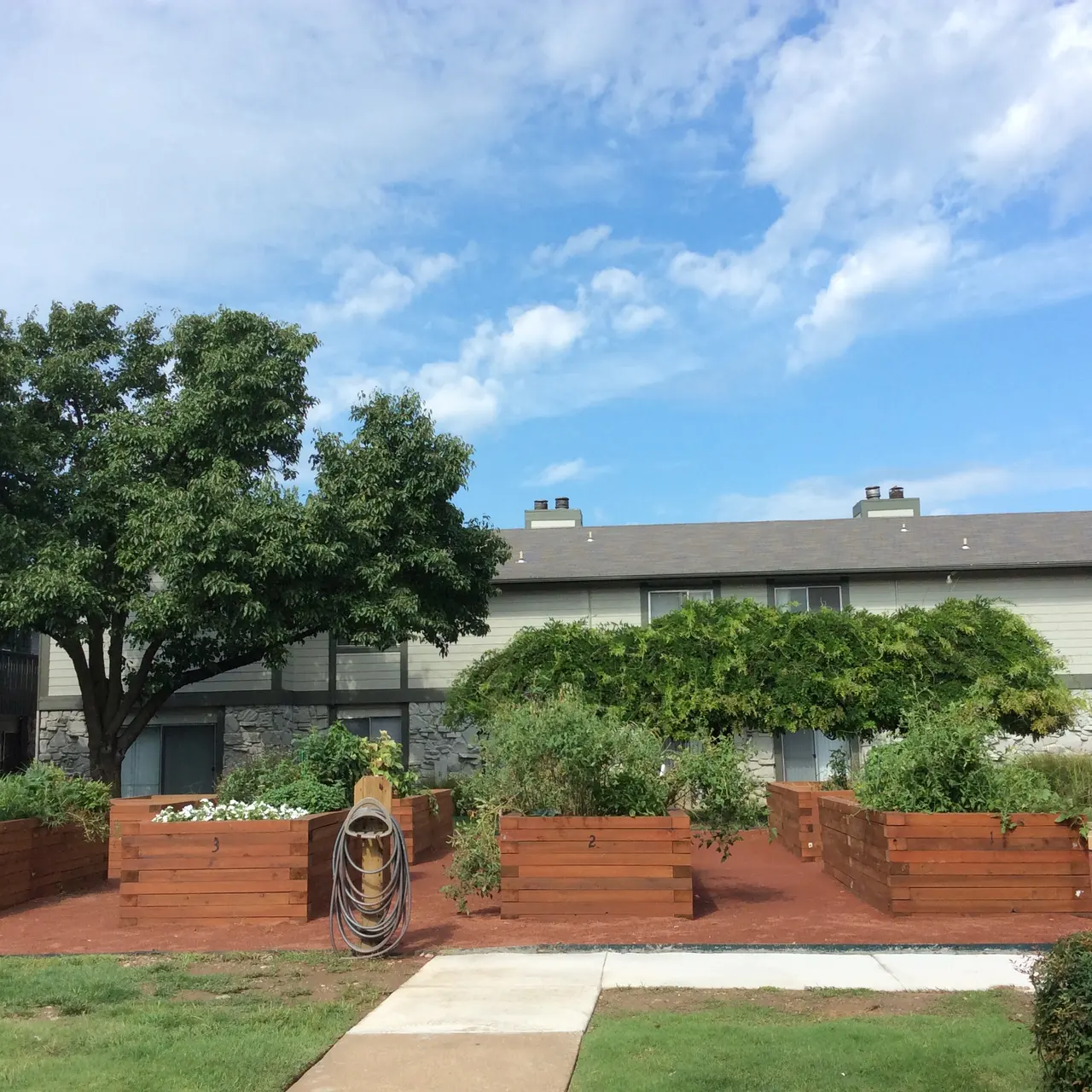 Lakewood Gardens Lakewood Gardens - Patio, Plant, Outdoors