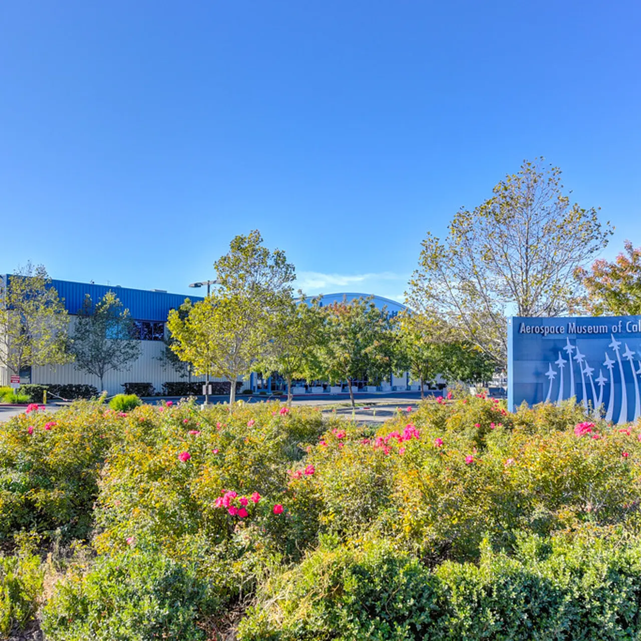 McClellan Park - Plant, Nature