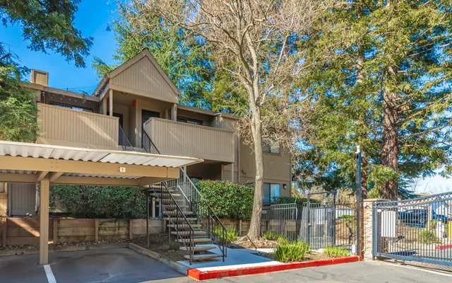 Donner at Fair Oaks - City, Oak, Sycamore