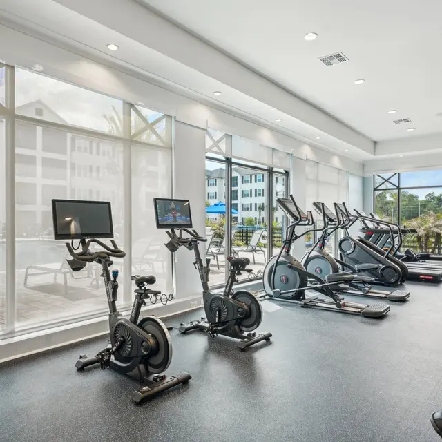 Modern Gym Interior Interior view of a modern gym with exercise equipment and large windows allowing natural light.