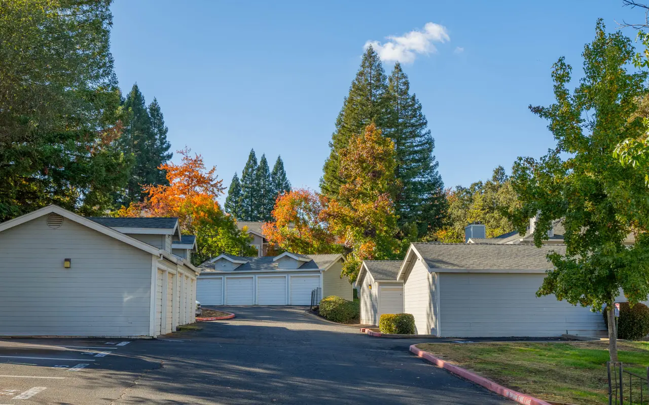 A peaceful view of a pathway surrounded by residential cabins and trees, showcasing autumn foliage with colorful leaves.