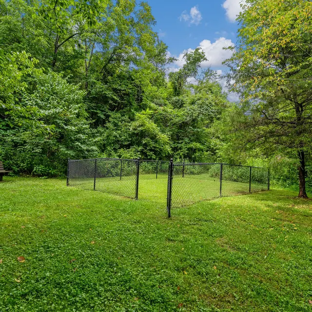 A grassy park area with a fence surrounding a portion of the land, dense trees and greenery in the background, and a wooden bench nearby.