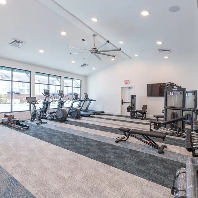Modern gym interior featuring exercise equipment and large windows for natural light.