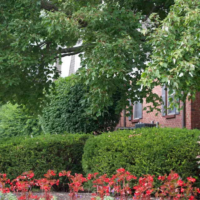 Normandy on The Green - Garden, Nature, Outdoors