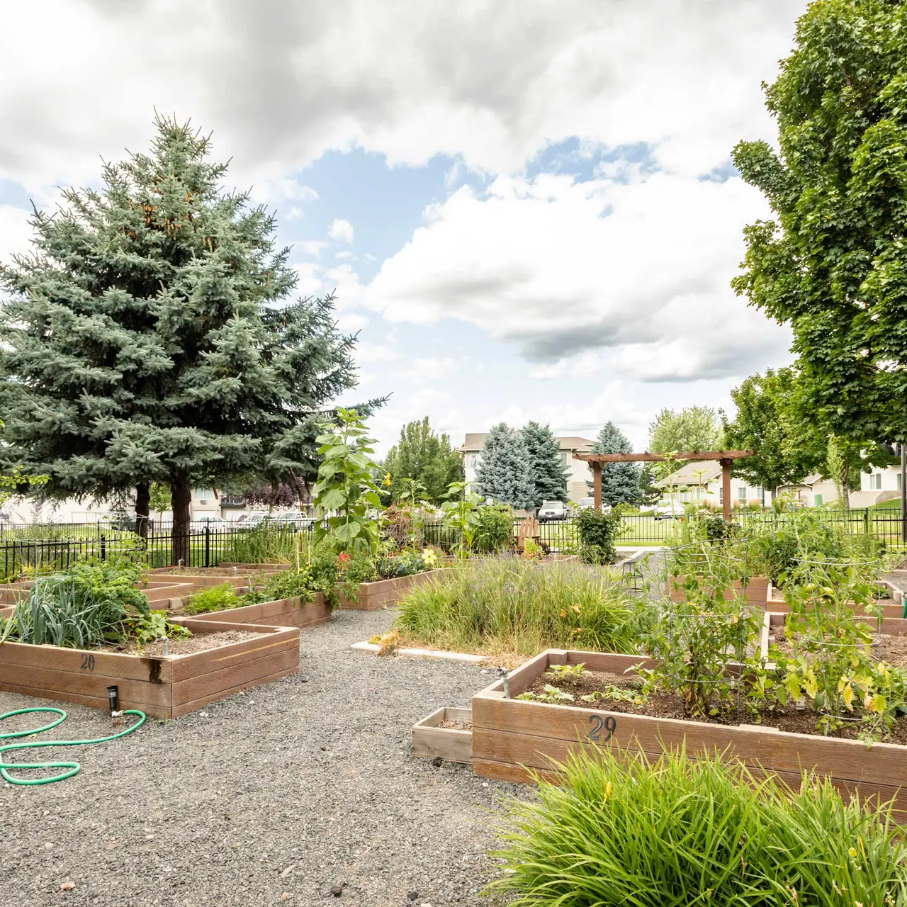 Big Trout Lodge Big Trout Lodge - Fir, Plant