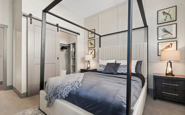 Black Cat - Bedroom, Indoors, Room