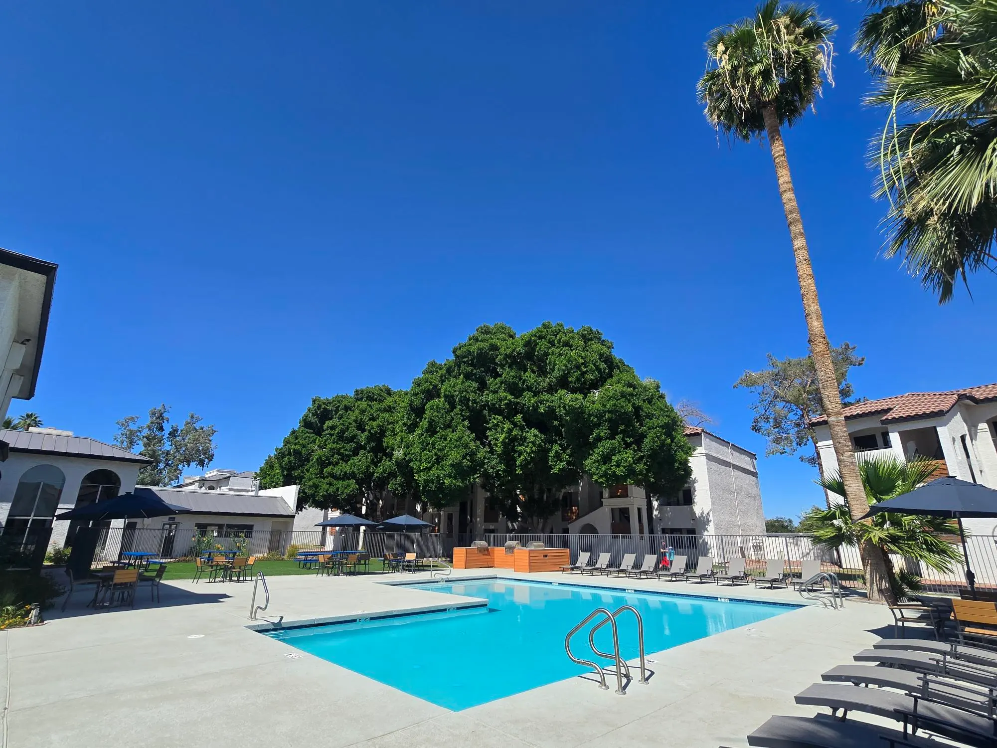 A sunny pool area surrounded by lush green trees and tall palm trees, featuring lounge chairs and an inviting blue swimming pool.