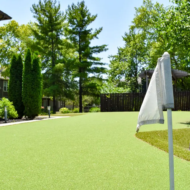 The Preserve at Willow Springs - Grass, Backyard, Nature