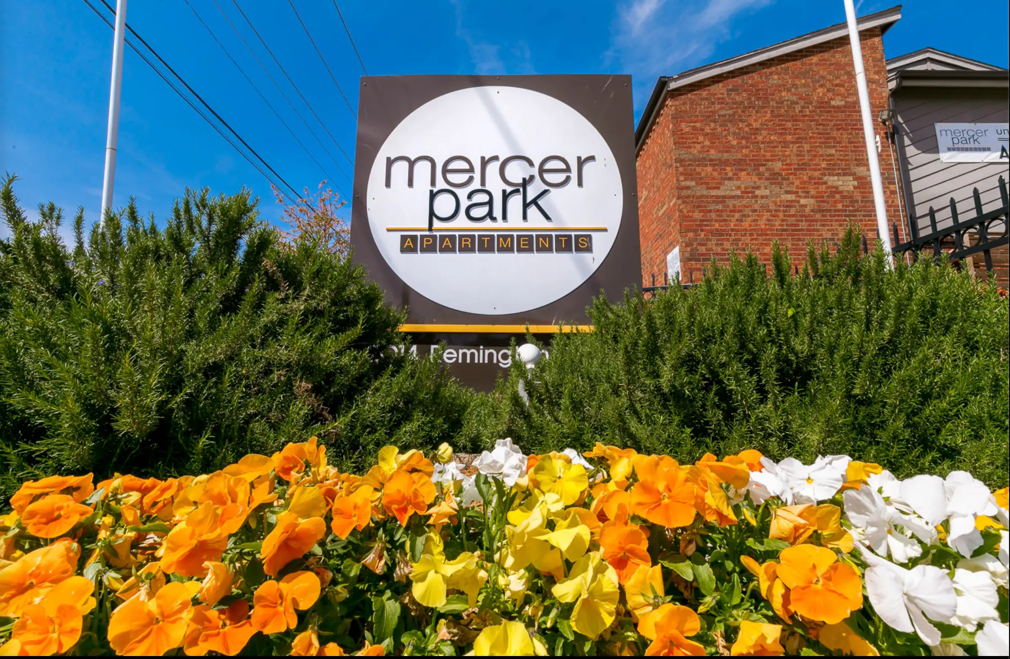 Shelter, Flower, Geranium