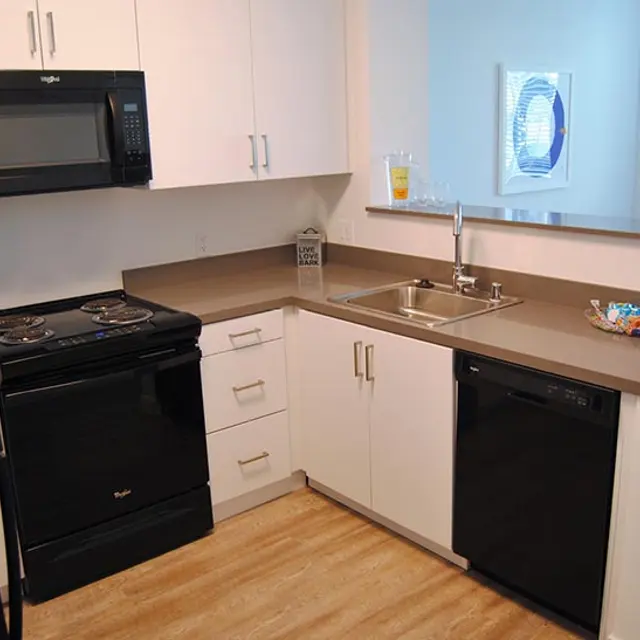 Oasis - Appliance, Device, Microwave
