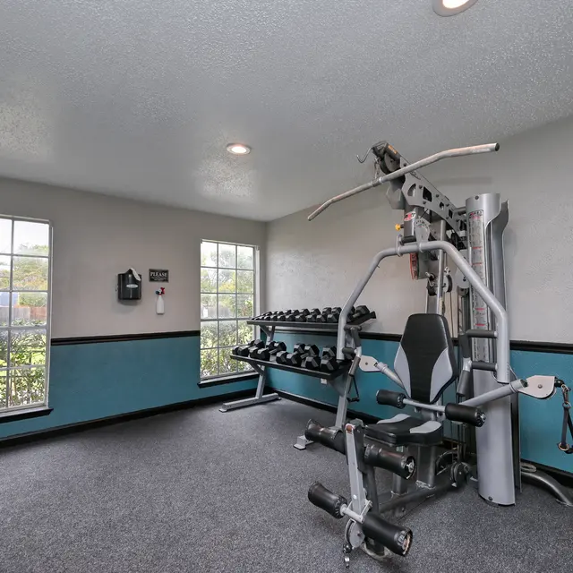 Marina del Rey - Gym, Working Out, Fitness