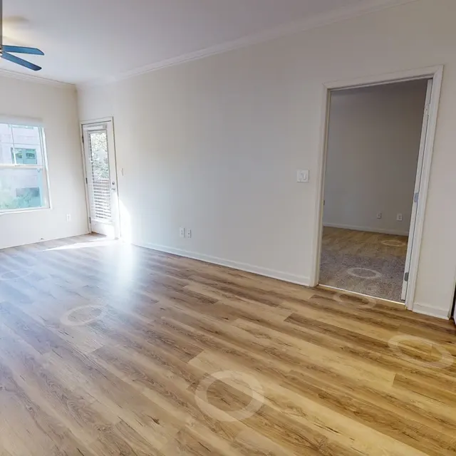 1 Bedroom 1 Bathroom Virtual Tour 