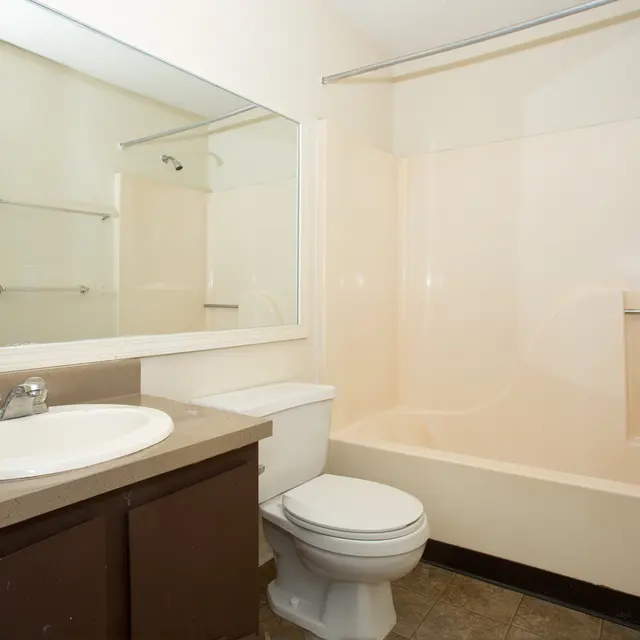 Tree Tops - Sink, Indoors, Sink Faucet